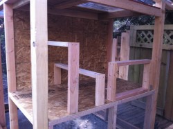 Roosts and nest box framing